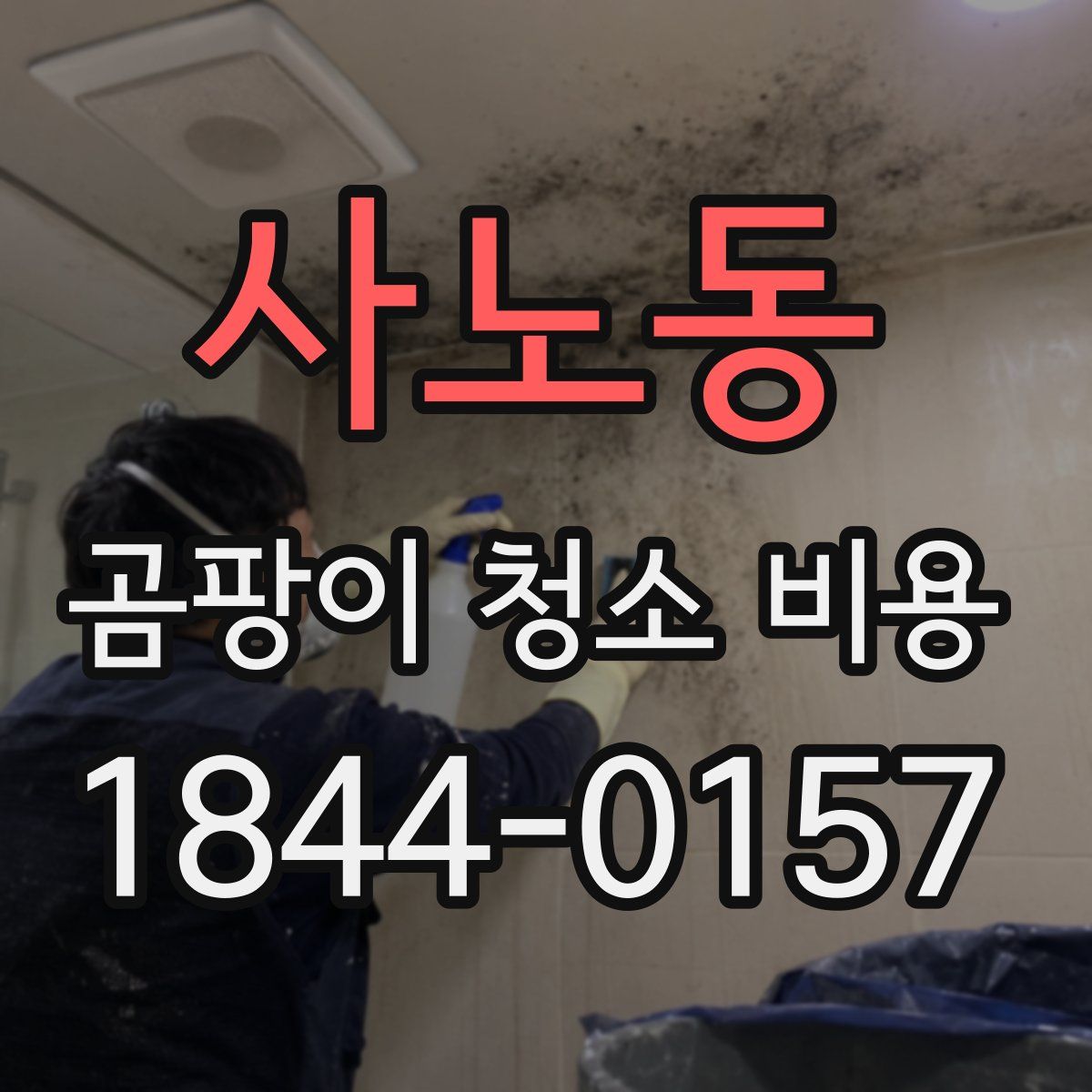 사노동 곰팡이 청소 비용