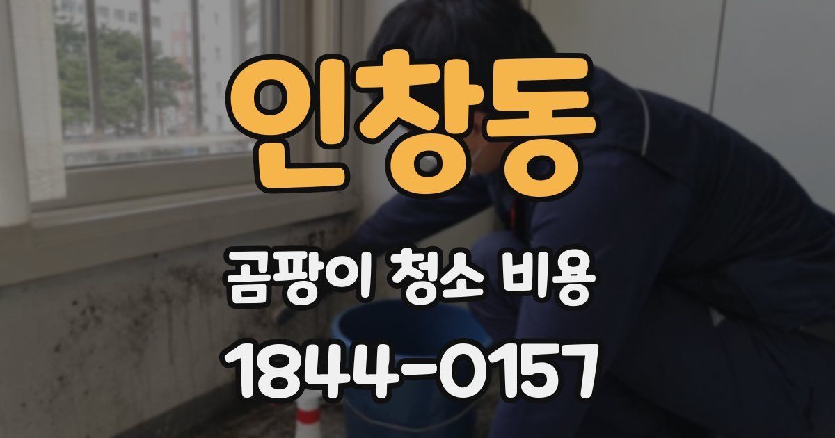 인창동 곰팡이 청소 비용