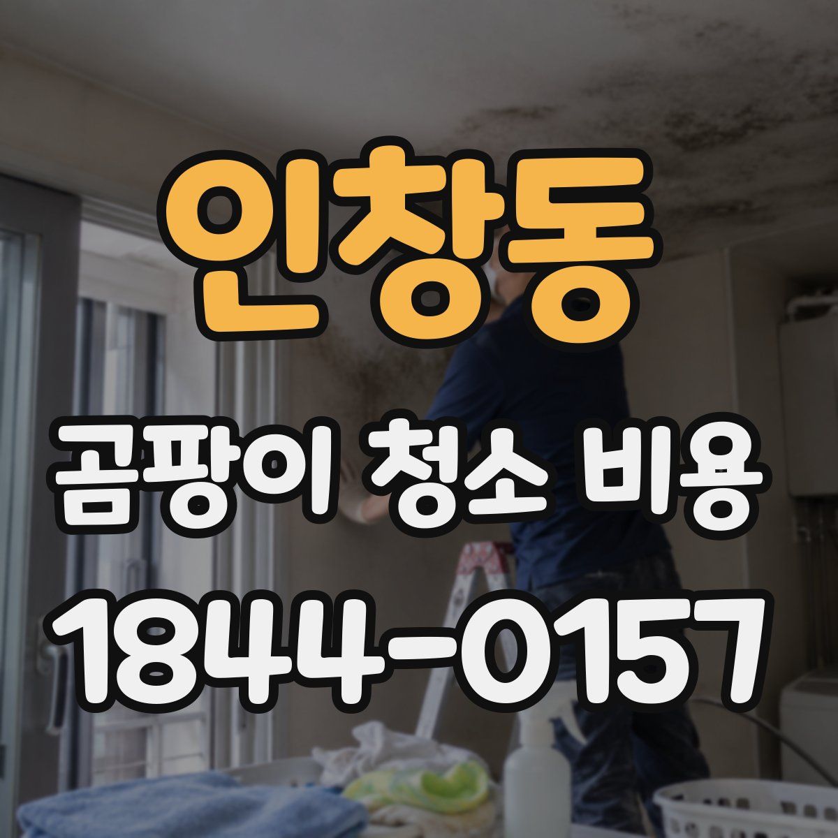 인창동 곰팡이 청소 비용