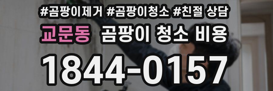 교문동 곰팡이 청소 비용
