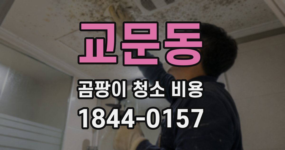 교문동 곰팡이 청소 비용