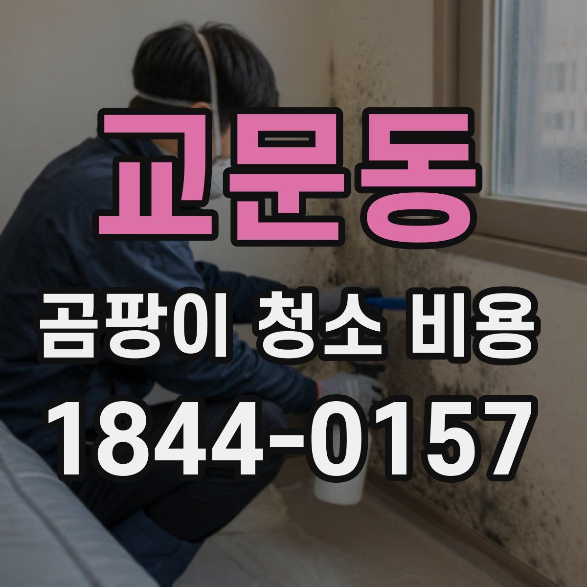 교문동 곰팡이 청소 비용