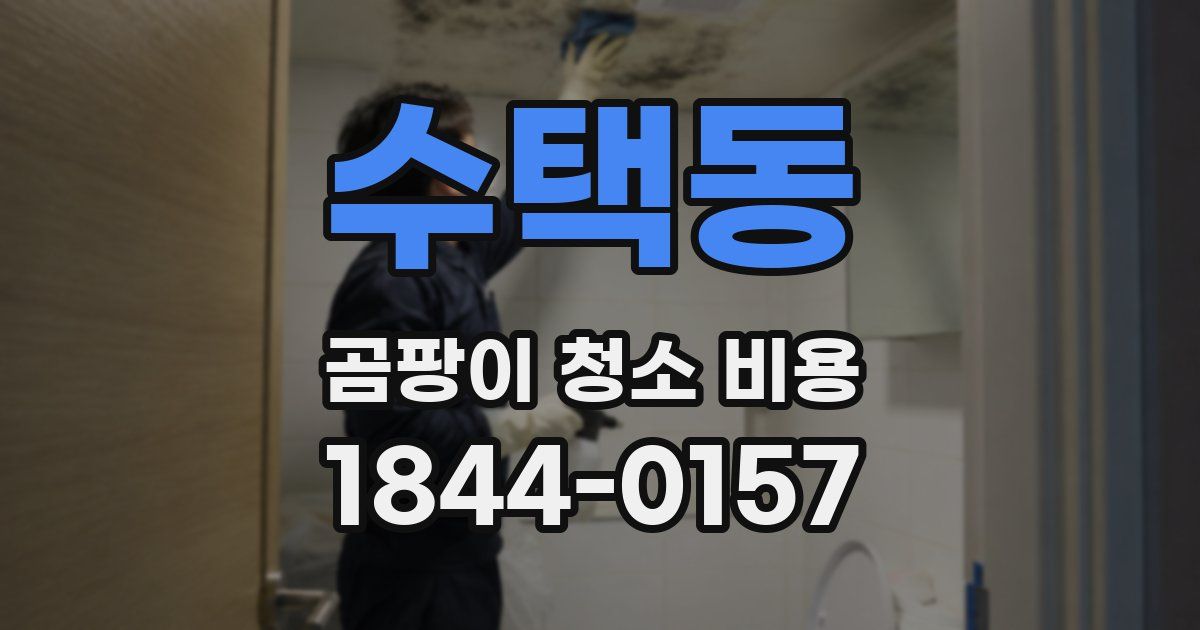 수택동 곰팡이 청소 비용