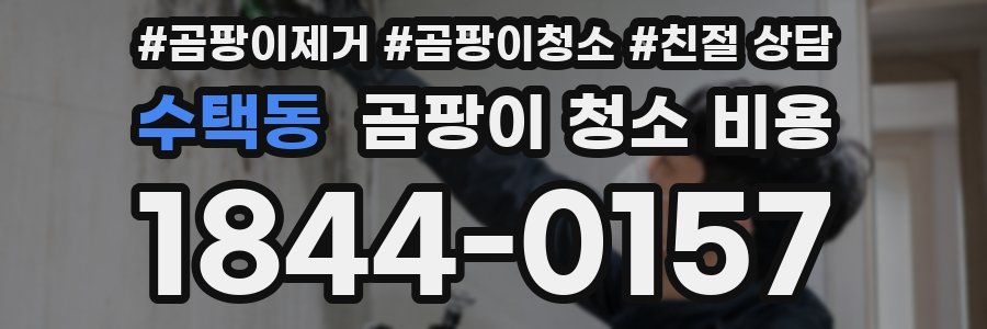 수택동 곰팡이 청소 비용