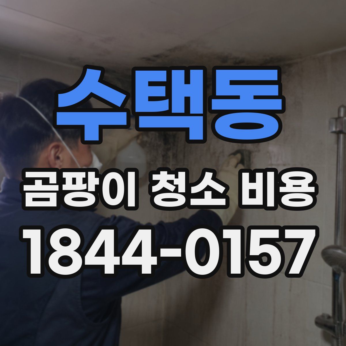 수택동 곰팡이 청소 비용