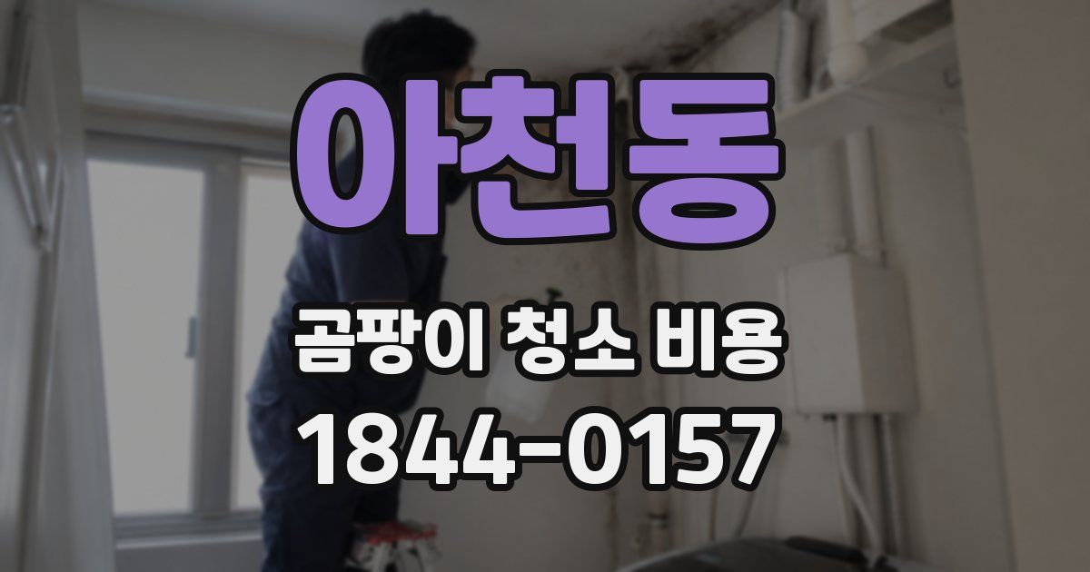 아천동 곰팡이 청소 비용