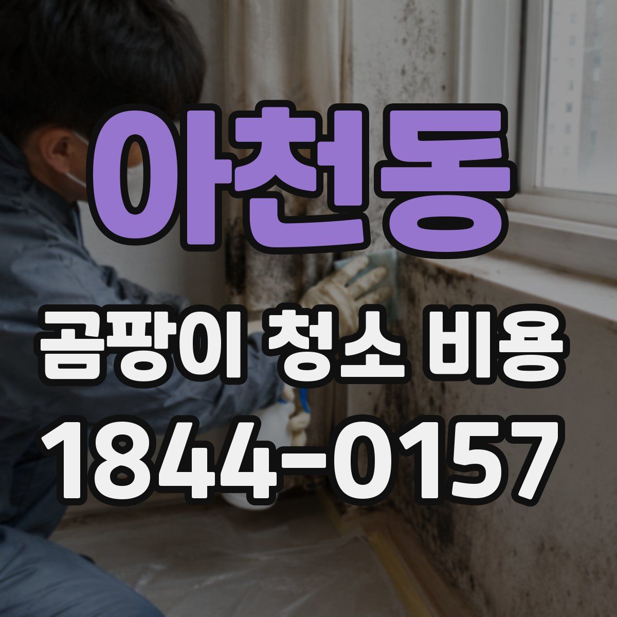 아천동 곰팡이 청소 비용