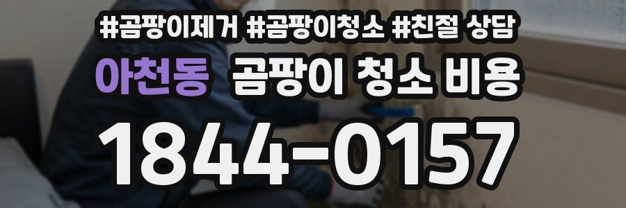 아천동 곰팡이 청소 비용