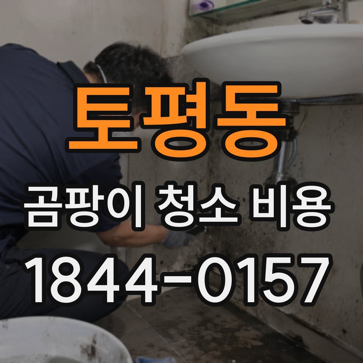 토평동 곰팡이 청소 비용