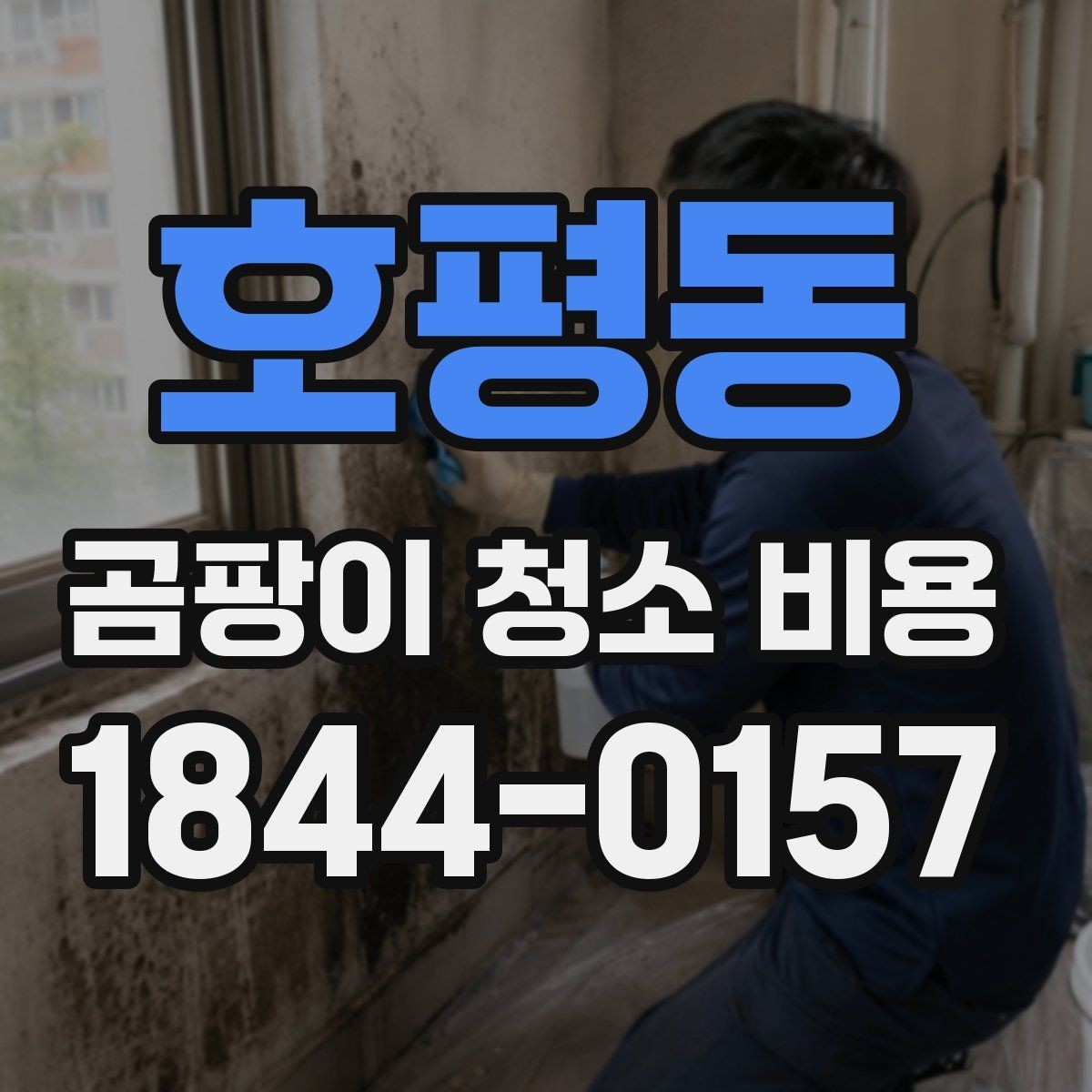 호평동 곰팡이 청소 비용 상담에서 놓치기 쉬운 질문들