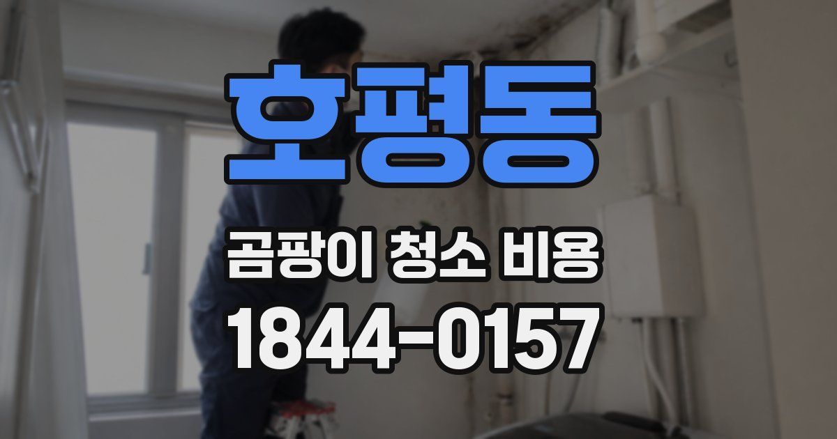 호평동 곰팡이 청소 비용