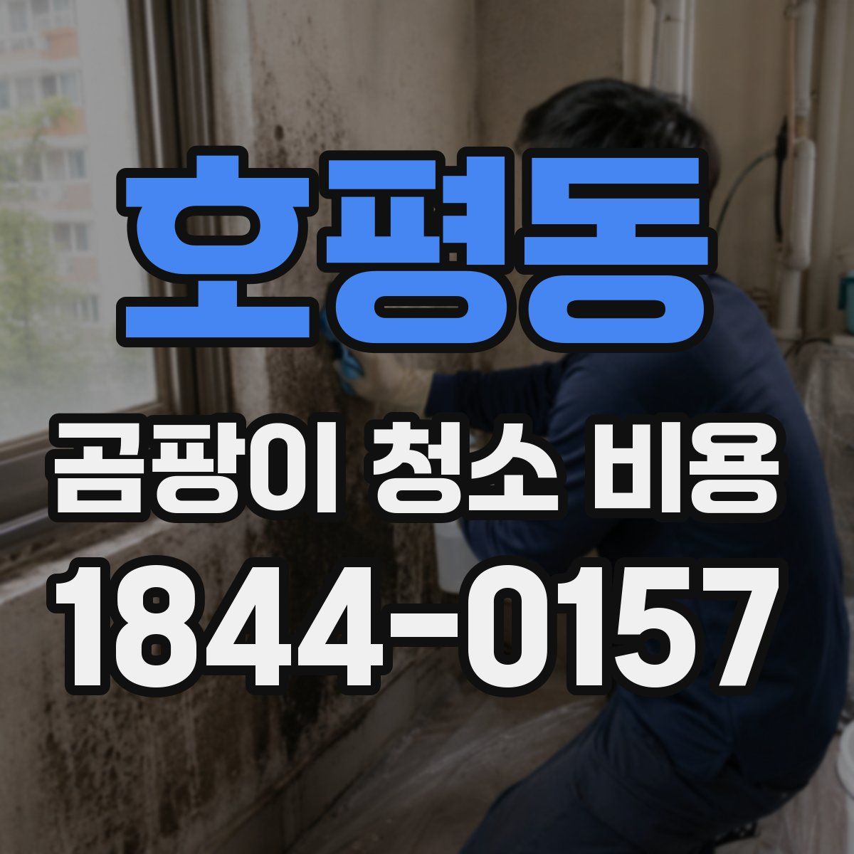 호평동 곰팡이 청소 비용