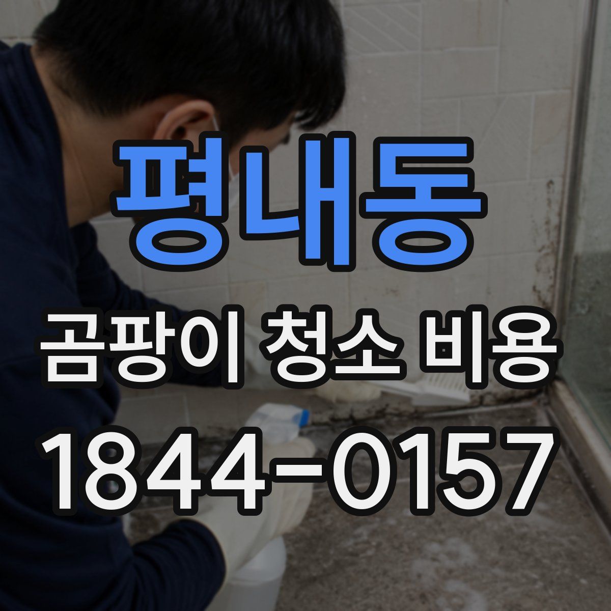 평내동 곰팡이 청소 비용