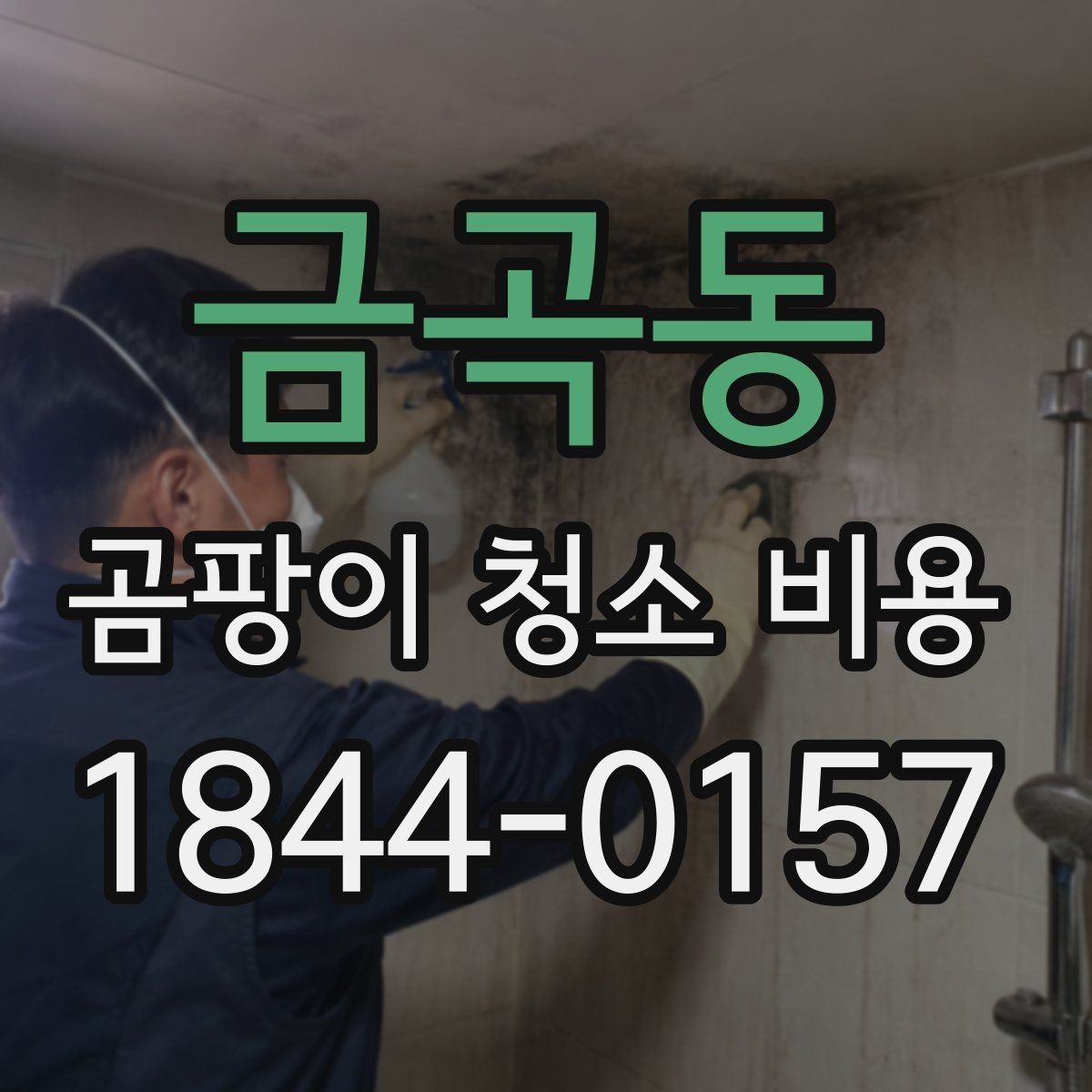 금곡동 곰팡이 청소 비용 비교 시 과다한 항목 피하는 법