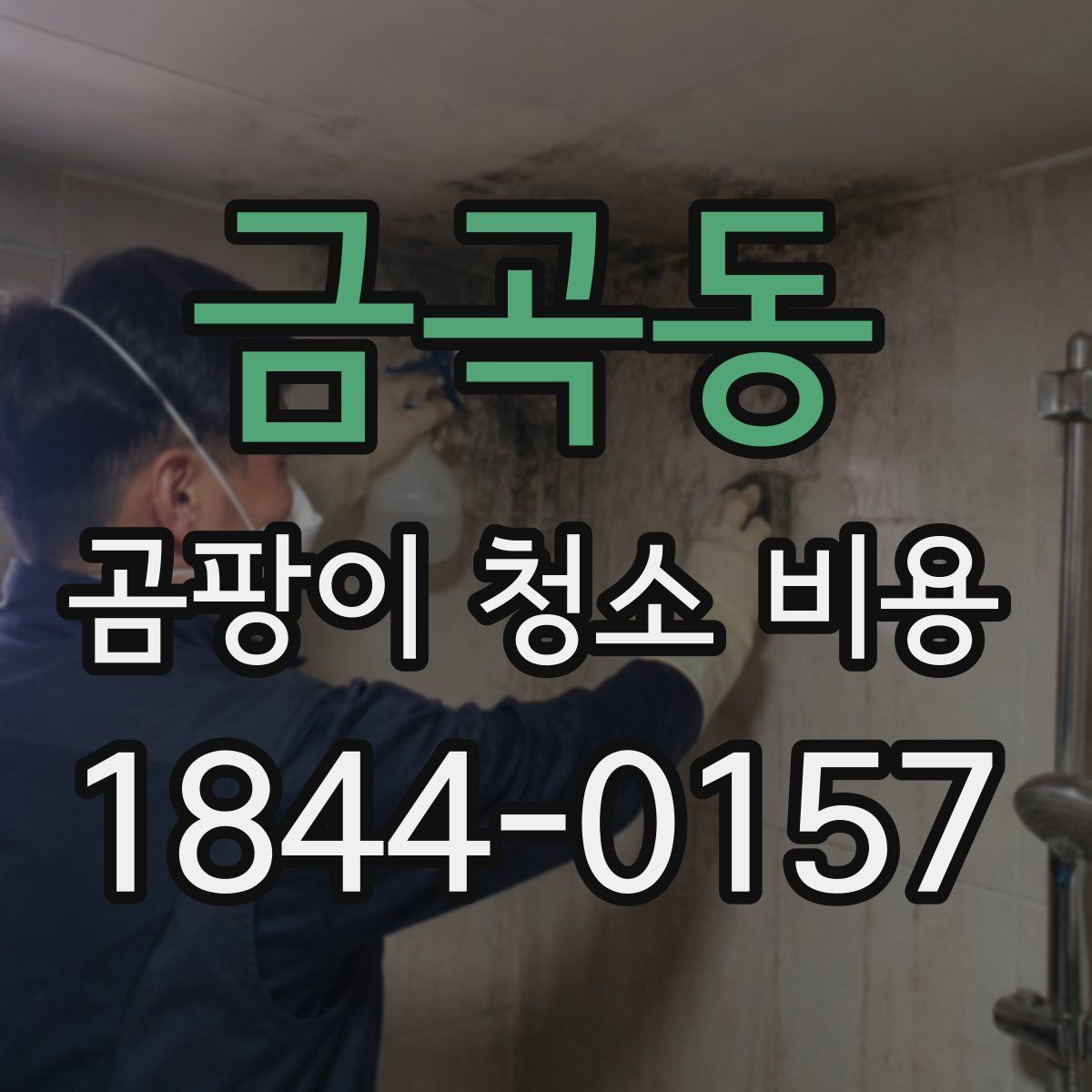 금곡동 곰팡이 청소 비용