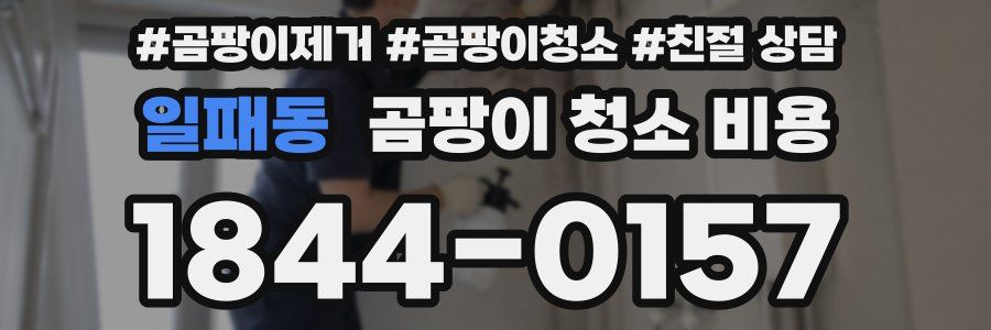 일패동 곰팡이 청소 비용