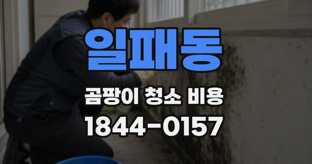 일패동 곰팡이 청소 비용