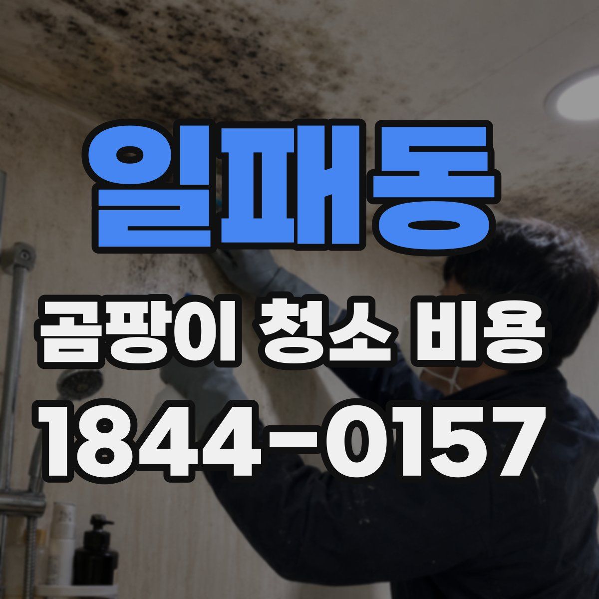 일패동 곰팡이 청소 비용