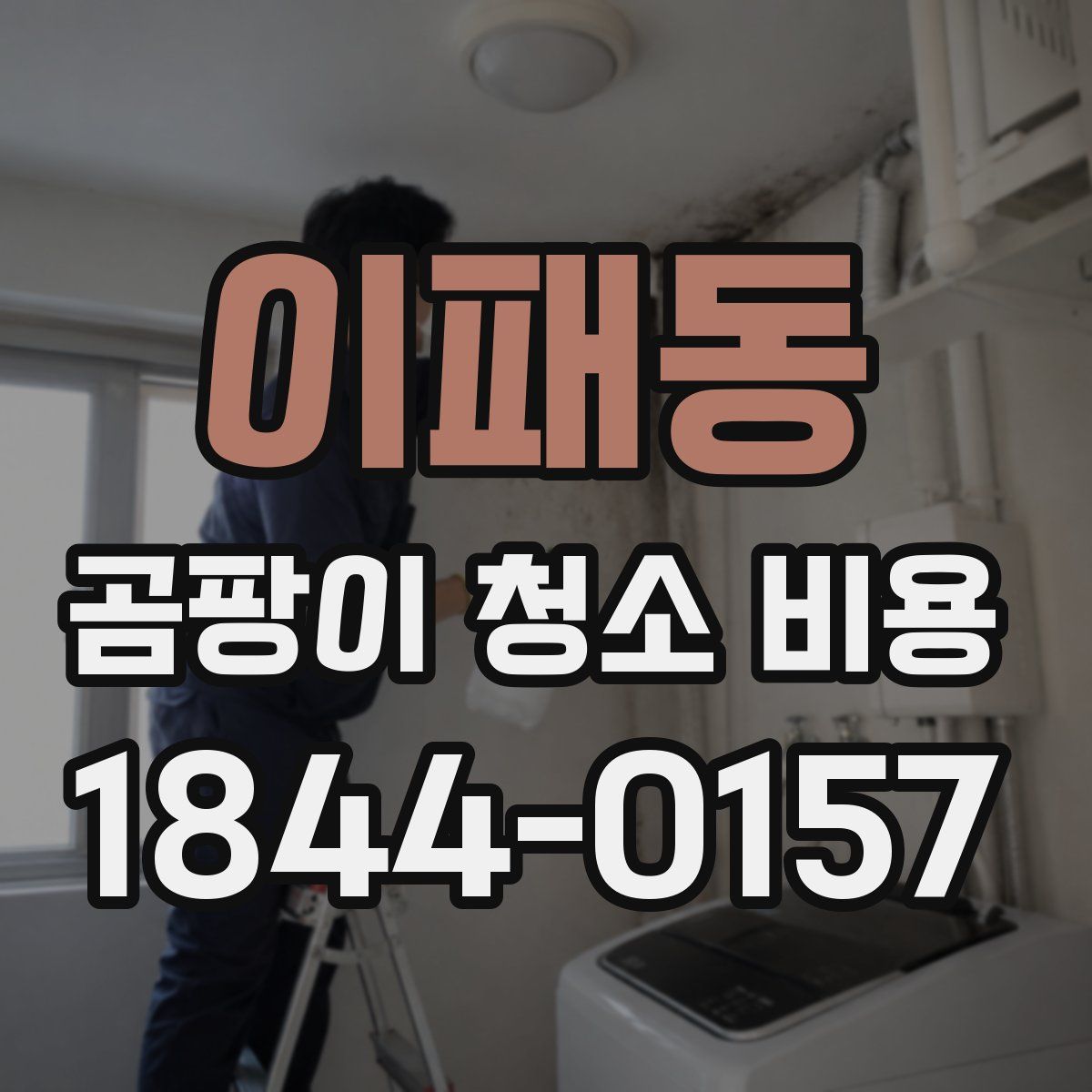 이패동 곰팡이 청소 비용