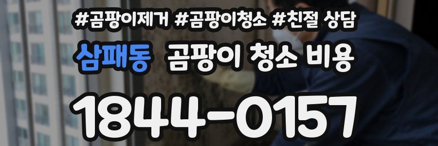삼패동 곰팡이 청소 비용