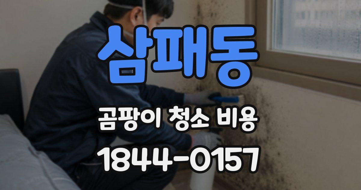 삼패동 곰팡이 청소 비용
