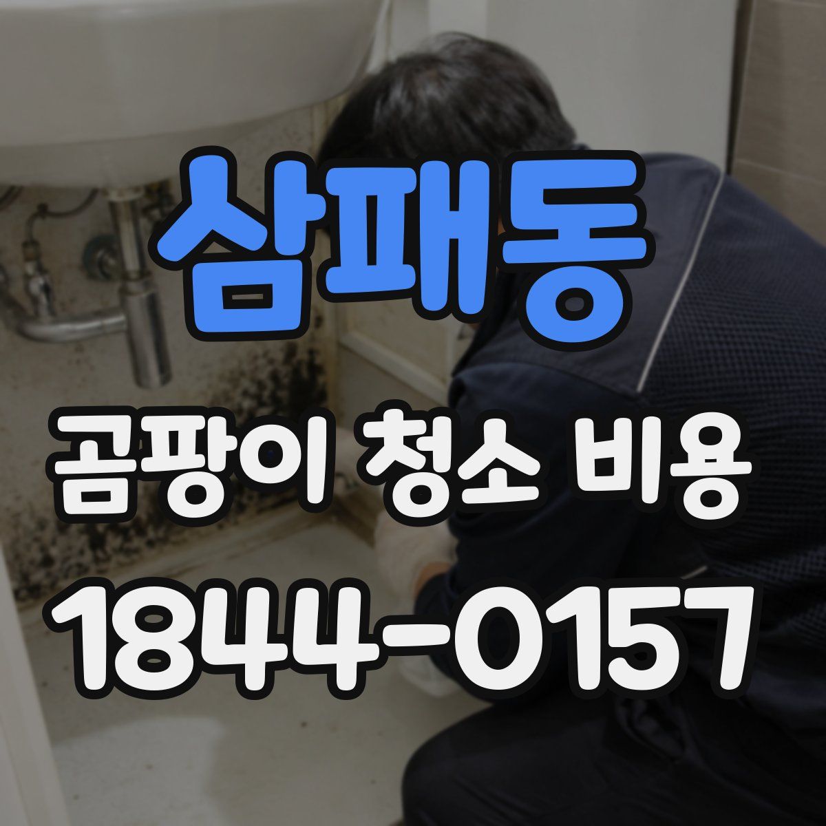 삼패동 곰팡이 청소 비용