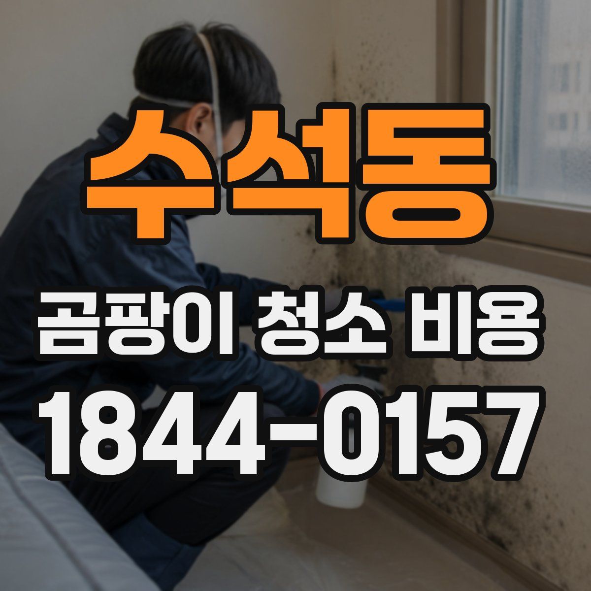 수석동 곰팡이 청소 비용