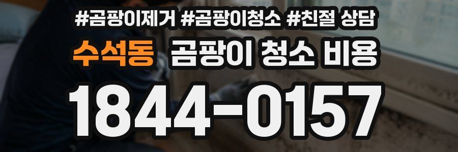 수석동 곰팡이 청소 비용