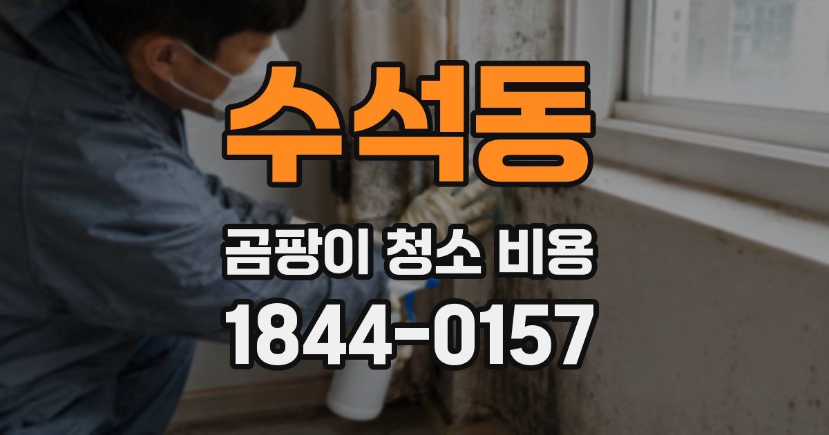 수석동 곰팡이 청소 비용