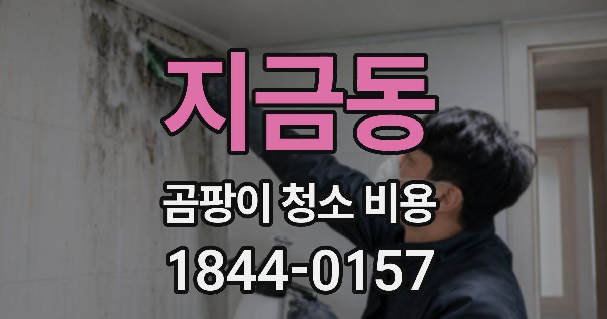 지금동 곰팡이 청소 비용