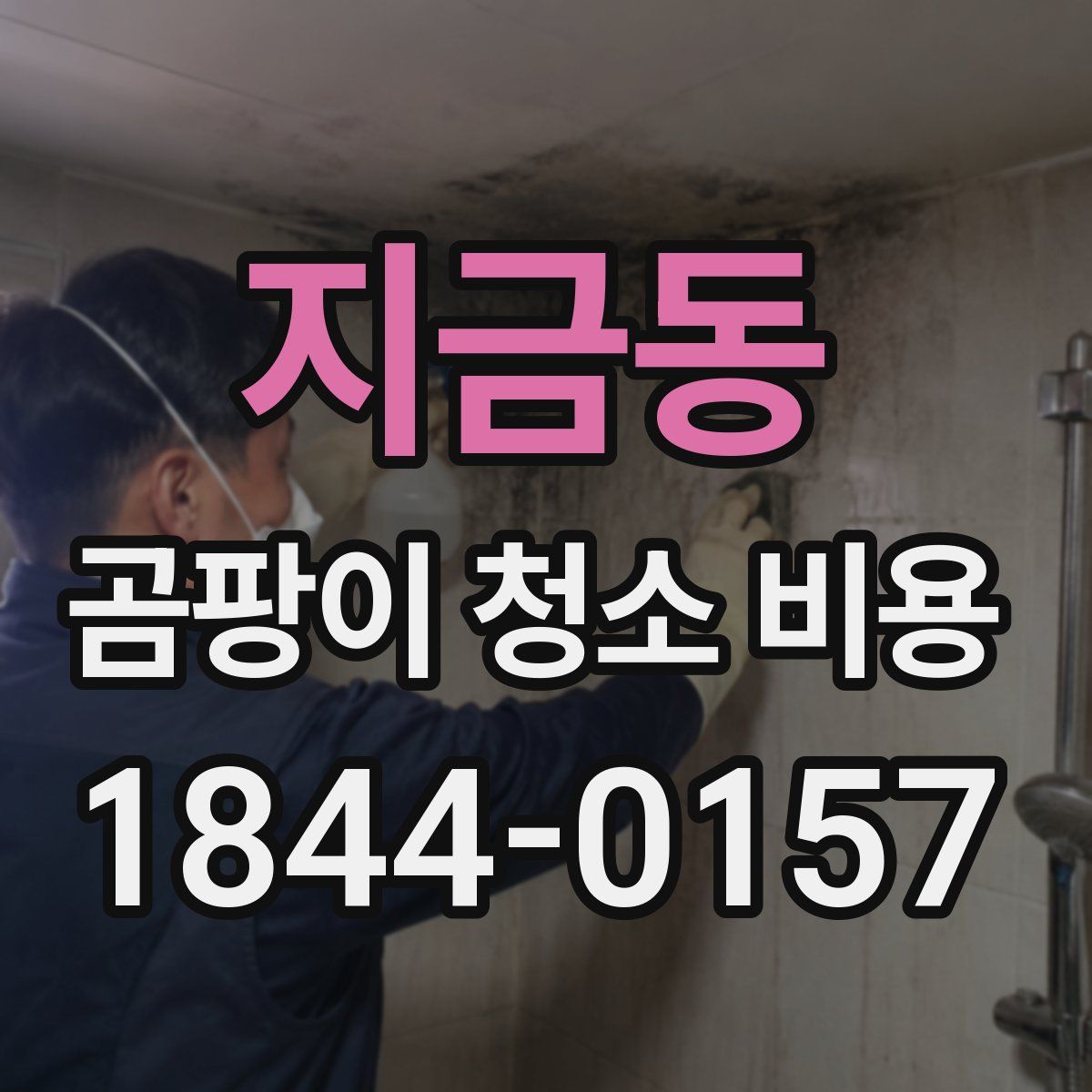 지금동 곰팡이 청소 비용
