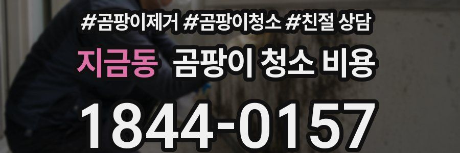 지금동 곰팡이 청소 비용