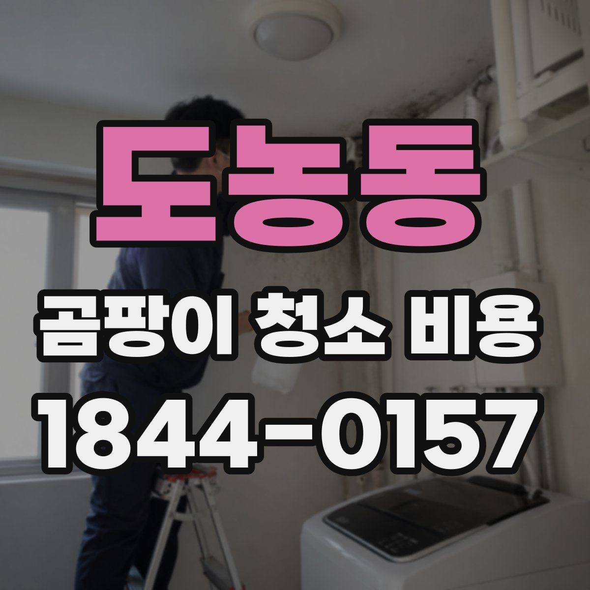 도농동 곰팡이 청소 비용 문의 전에 알아두는 견적 팁