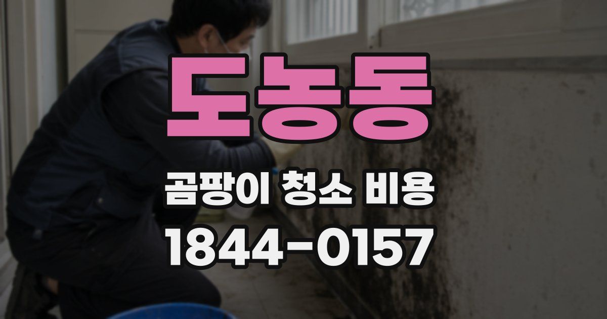 도농동 곰팡이 청소 비용