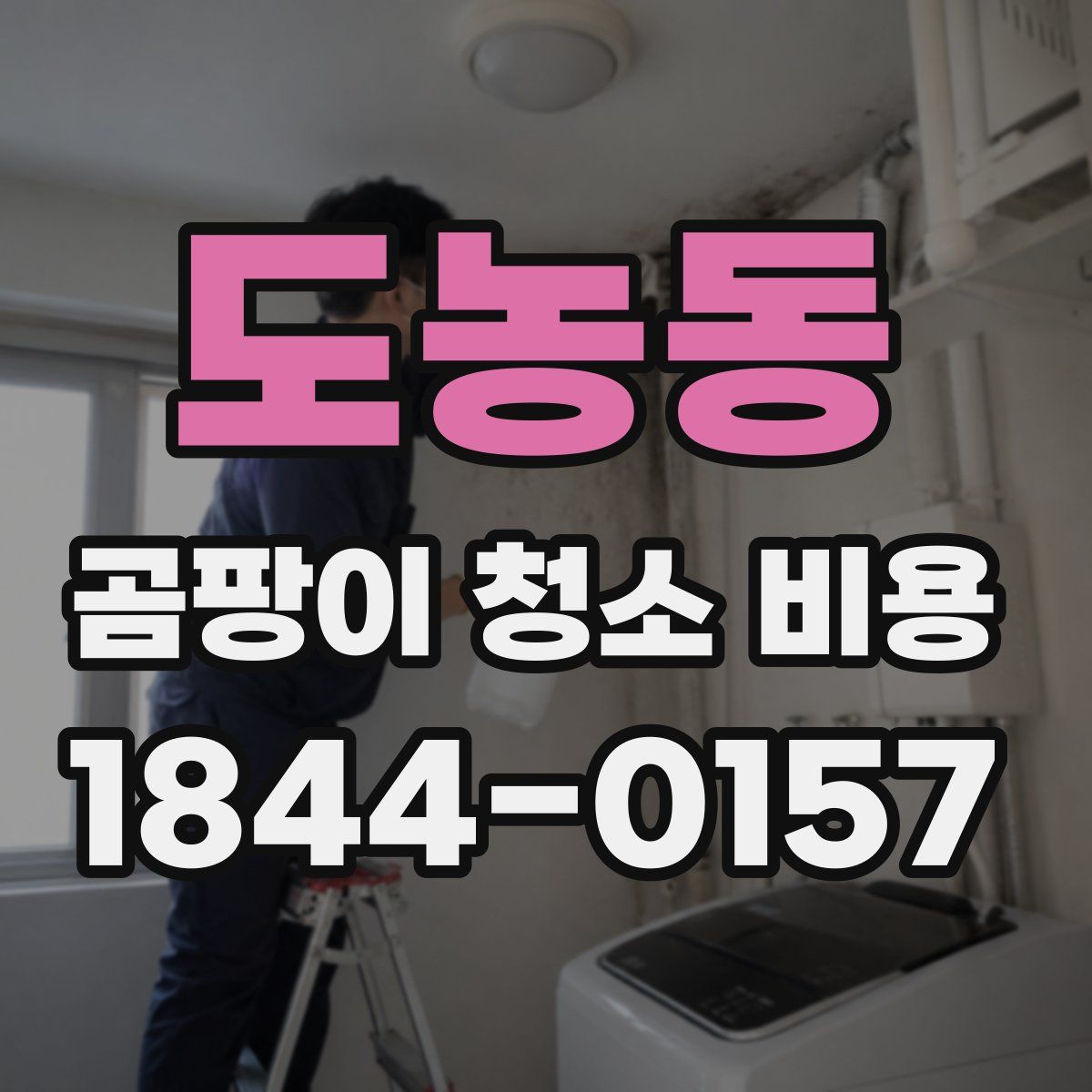 도농동 곰팡이 청소 비용