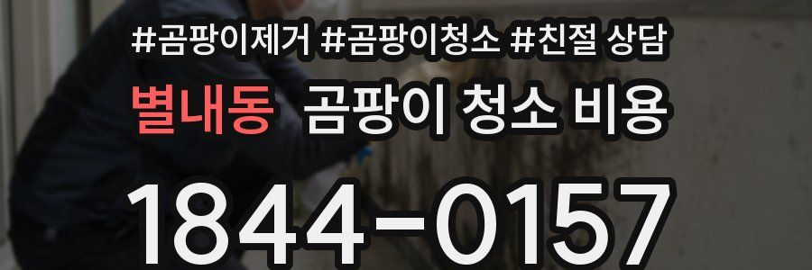 별내동 곰팡이 청소 비용