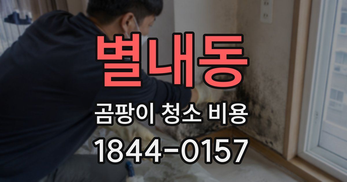 별내동 곰팡이 청소 비용