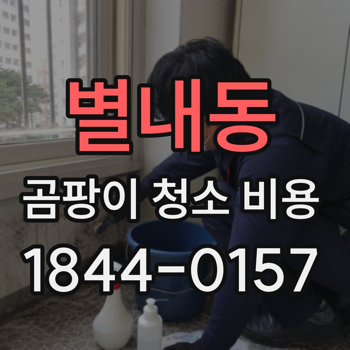 별내동 곰팡이 청소 비용
