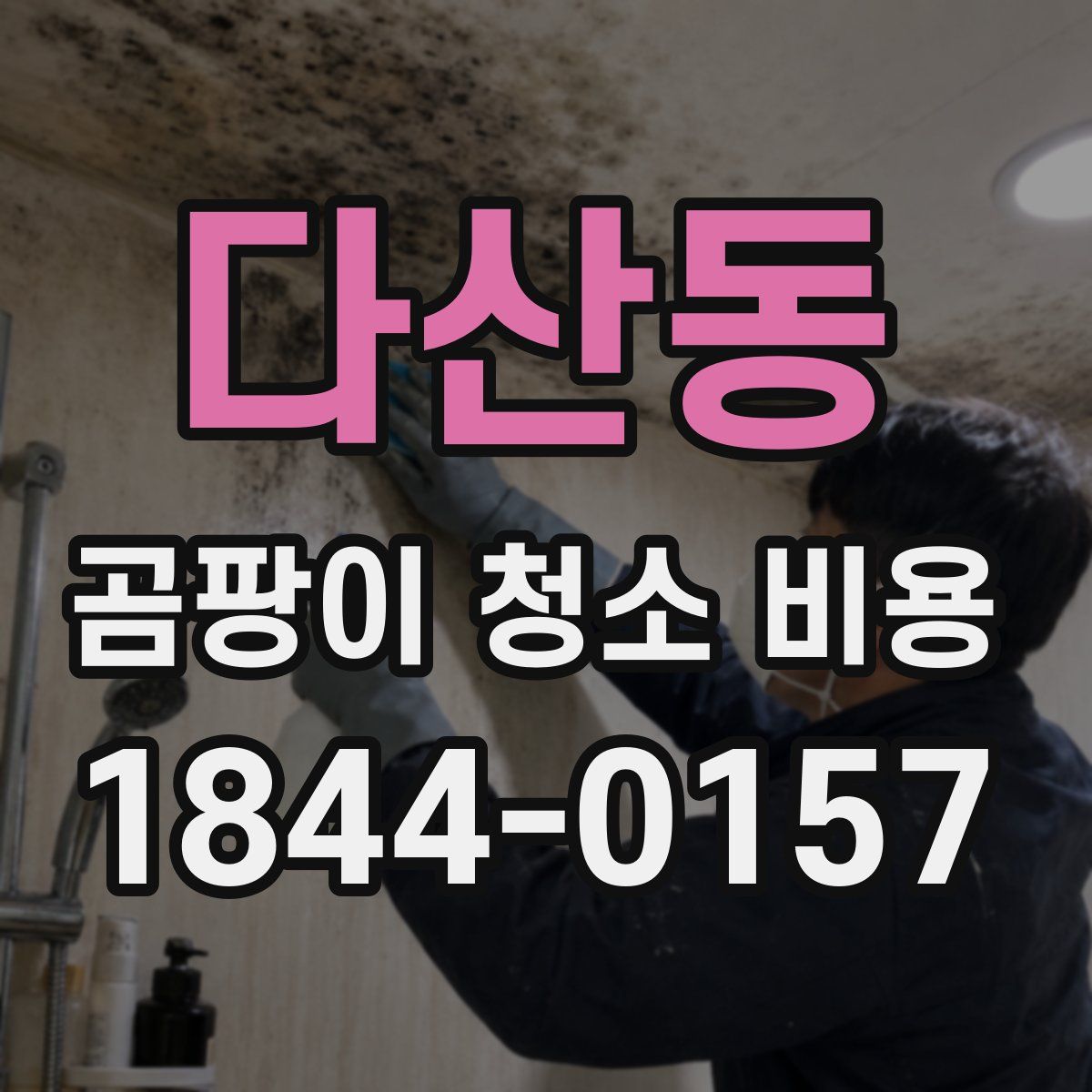 다산동 곰팡이 청소 비용