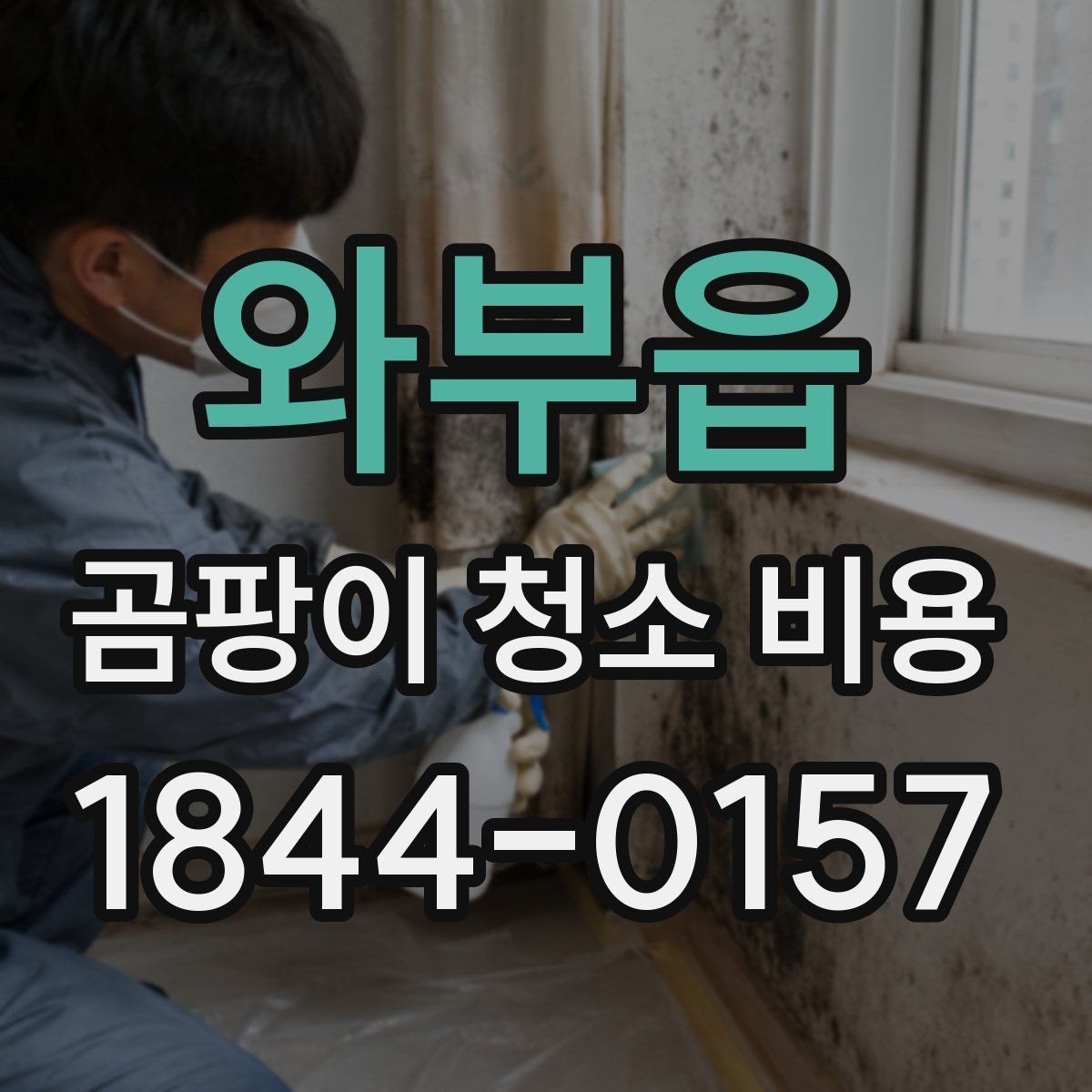 와부읍 곰팡이 청소 비용 비교할 때 놓치면 안 되는 항목