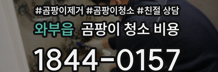 와부읍 곰팡이 청소 비용