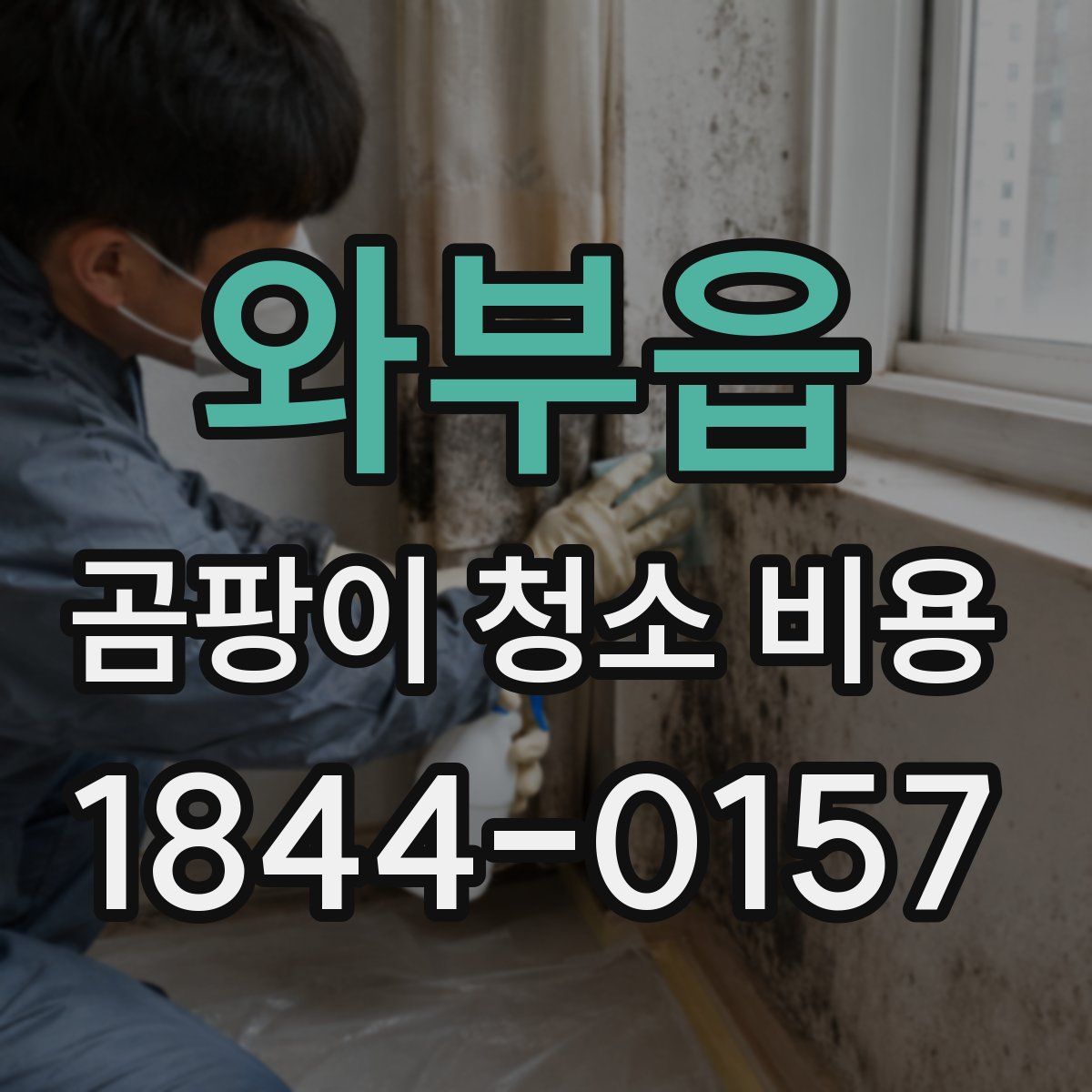 와부읍 곰팡이 청소 비용
