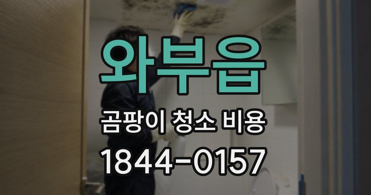 와부읍 곰팡이 청소 비용