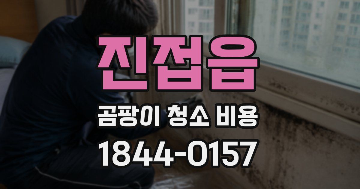 진접읍 곰팡이 청소 비용