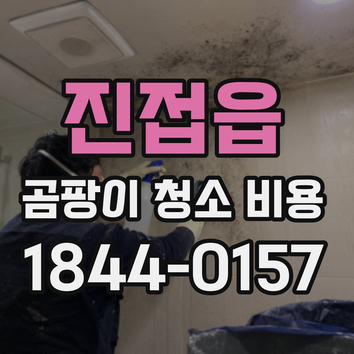 진접읍 곰팡이 청소 비용