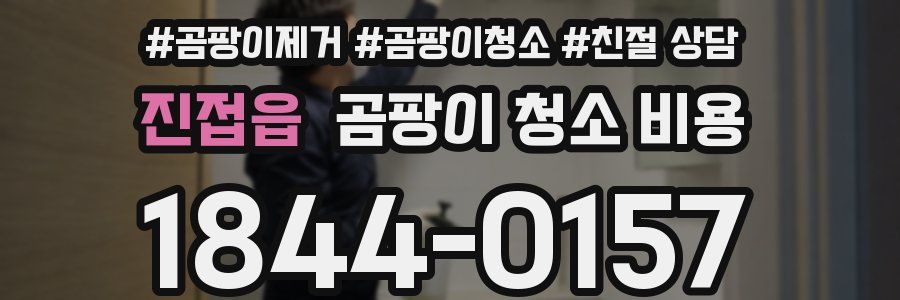 진접읍 곰팡이 청소 비용