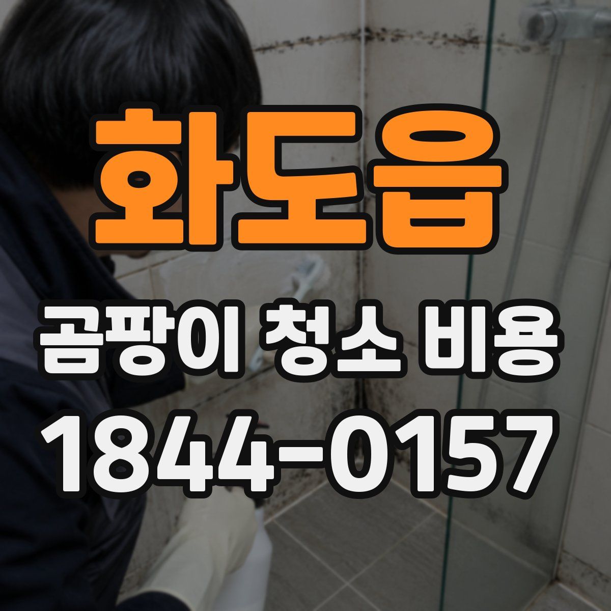 화도읍 곰팡이 청소 비용