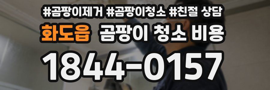 화도읍 곰팡이 청소 비용