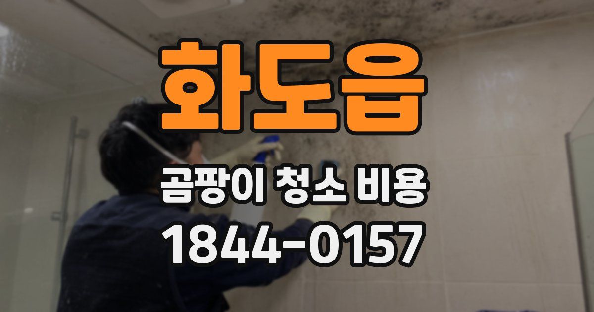 화도읍 곰팡이 청소 비용