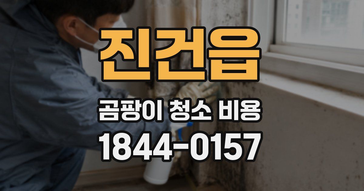 진건읍 곰팡이 청소 비용